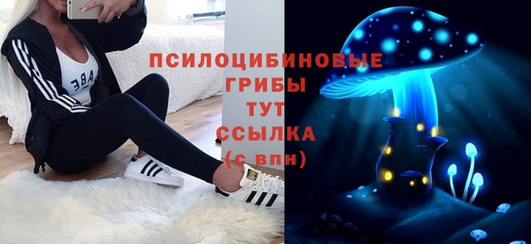 стафф Богородицк