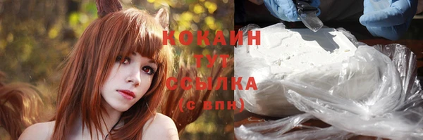 стафф Богородицк