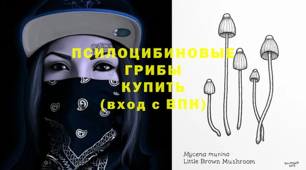 кристаллы Богородск