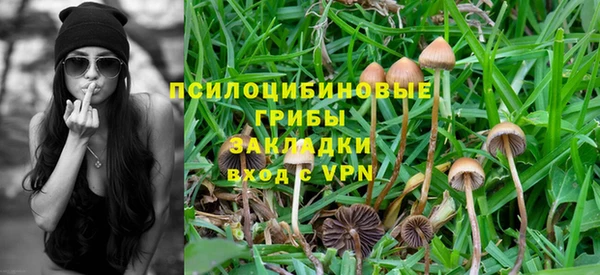 круглые Богданович