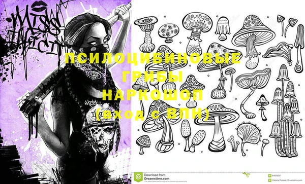 круглые Богданович