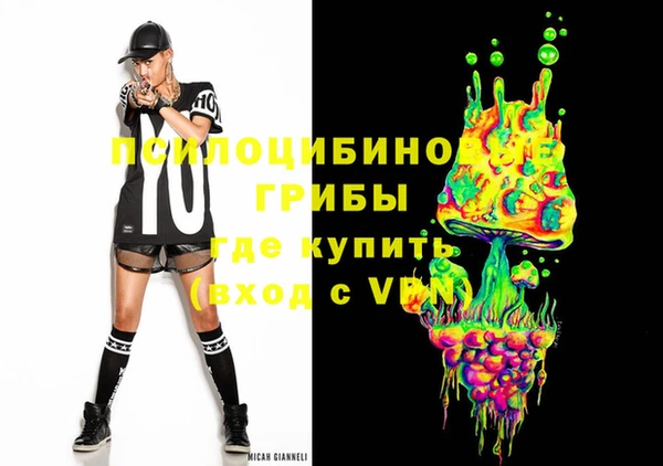 стафф Богородицк